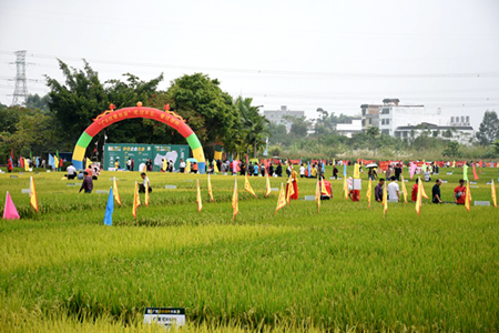 袁隆平为广西第十六届&ldquo;看禾选种&rdquo;大会发来贺信