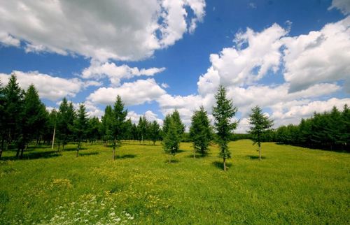 拒绝生态环境管理“一刀切” 河北率先建立生态环境监管正面清单制度