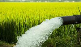 农业生产与水质改善“双赢”不是梦