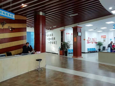 新乡凤泉区政务大数据局：以主题教育成果促进工作提质增效