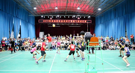 2019年广西壮族自治区农业农村厅首届气排球比赛圆满落幕