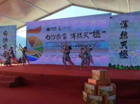 海南最甜橙！白沙红心橙亮相海南白沙品牌推介会