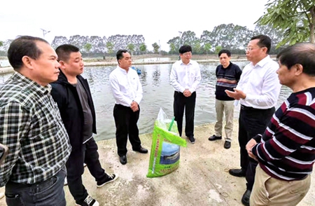 农业农村部渔业渔政管理局局长张显良到广西调研渔业工作