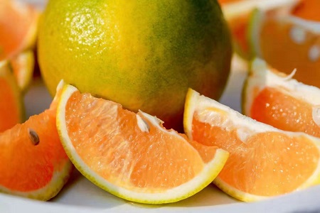 海南白沙红橙采摘季红火开幕