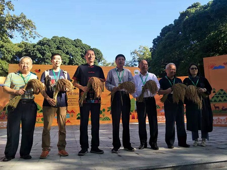 新米香迎四方客——2019海南白沙“啦奥门”山兰文化节开幕