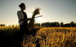 全国返乡下乡创新创业人员将超过八百五十万