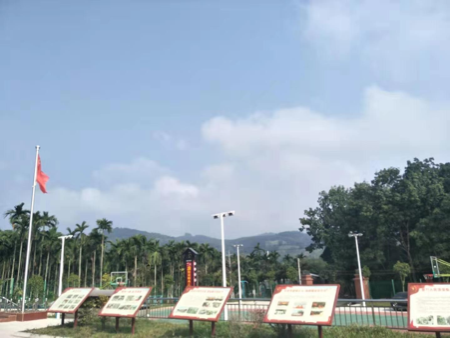 坚持党建引领产业发展——海南白沙牙叉镇对俄村脱贫摘帽致富之路