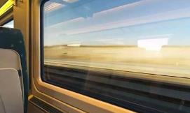 霸座遛狗不栓绳？多地立法整治这些不文明行为