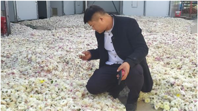 河南长垣：“80后”返乡种草药，打造脱贫“绿之野”