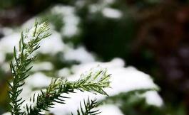 今明两天北京保持&ldquo;晴冷&rdquo;范 周五或迎今冬初雪