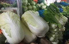 寒潮致山东寿光蔬菜批发价格略涨 供应充足