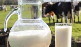 乳品消费信心增强 国人越来越爱喝国产放心奶