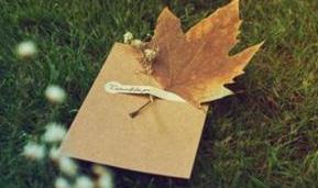 一片“香榭叶”折射的市场怪现状