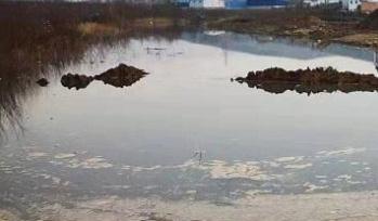 甘肃天水境内清水河污染 “四级河长”为何没堵住？