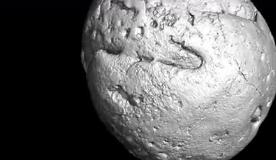 先有鸡还是先有蛋？6亿年前化石或给出答案