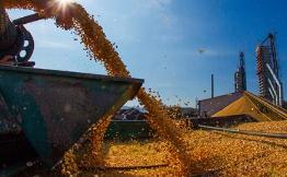 今年全国粮食总产量13277亿斤 创历史新高