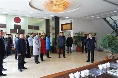 河南新乡：政协调研走基层 夯实党建谋发展