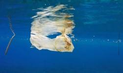每年1200万吨海洋塑料哪儿去了？科学家有了新发现