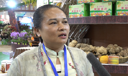 2019年海南“冬交会”：“产研结合”创造高附加值产品的海南模式