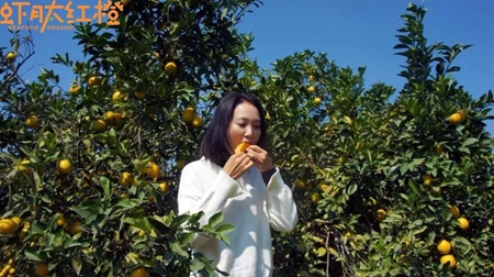 廉江红橙：品牌化运作助力产业升级