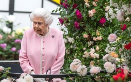 2个多月来第2次 英女王19日将公布新政府施政大纲