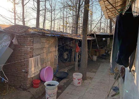 山东郯城强拆怪象：未批先征拆而不建 老人住进木屋