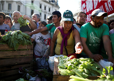阿根廷新政府上调大豆出口税 当地农民境遇雪上加霜