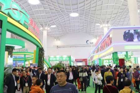 2019海南“冬交会”：琼海农产品点燃交易新热潮