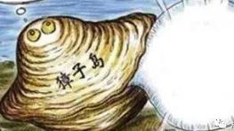 扇贝老出问题 獐子岛或云南养鲟鱼