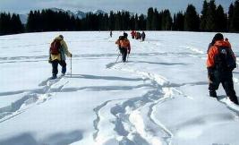 冬季出游需求与日俱增 冬季旅游如何才能“热”起来？