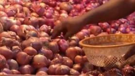 一颗洋葱引发的危机：印度民众怨声载道