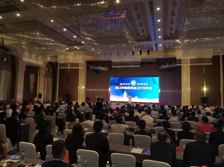 活力新海南 奋力新临商——海口市临高商会2019年会在海口举行