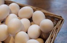 去年四季度降幅近30% 蛋价为何快速回落？