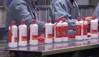 1个茅台指标400元? 炒酒投资3000万 豪饮为何变豪赌