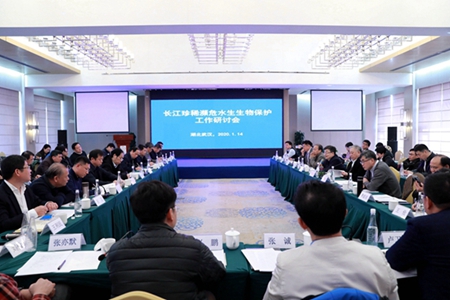 农业农村部：加强长江濒危水生生物保护工作