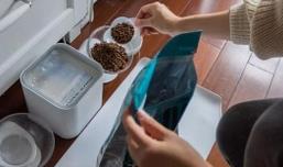 “铲屎官”春节回家 宠物托运、寄养等服务迎来高峰