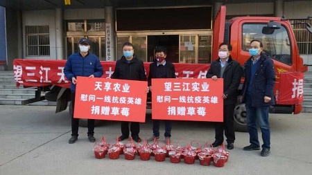 疫情动态| 叶县天享农业有限公司向一线防疫医疗人员捐赠千余斤草莓