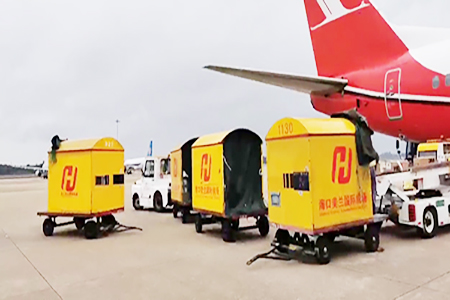 疫情动态|世界健康基金会捐赠首批医疗物资抵琼