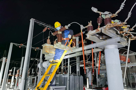 疫情动态| 电力党员服务队：“电”亮战胜疫情希望