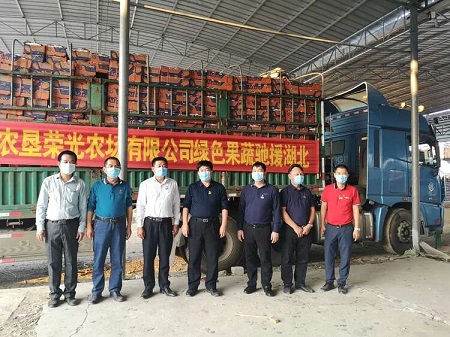 疫情动态|一方有难 八方支援 - 海垦荣光农场公司94吨爱心水果驰援湖北