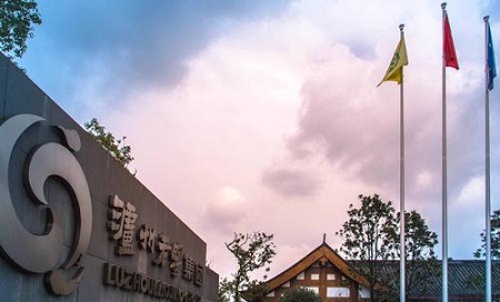 泸州老窖集团：奋力夺取疫情防控和高质量发展“双胜利”