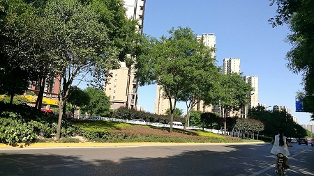 陕西西安多个区域取消外出限制