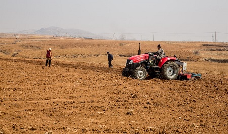 黑龙江开启网络备耕 防疫备耕两不误