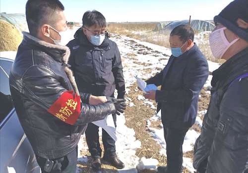 黑龙江佳木斯：党组织引领战“疫”不误春耕