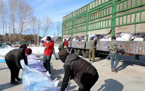 黑龙江普阳农场一手抓疫情防控 一手抓改革发展