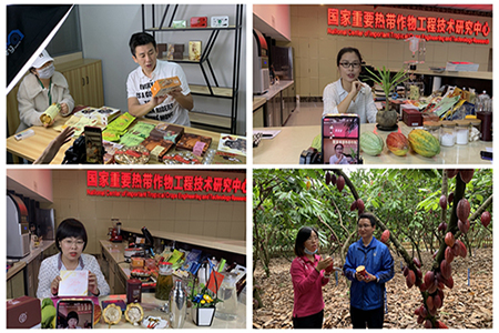 复工复产专题|海南兴隆热带植物园迎“疫”而上 科学方法助力复工复产