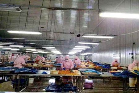 鞍山市食品生产企业近六分之一复工复产