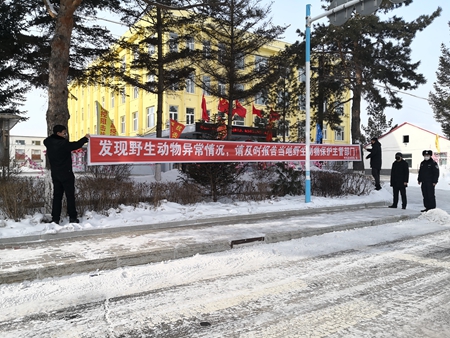 黑龙江呼玛县启动最严格的野生动物管控措施