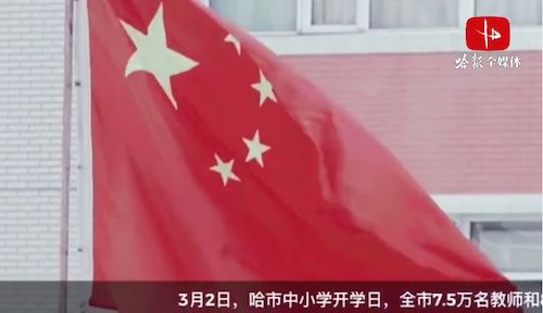 国歌响起，向屏幕里的国旗庄严敬礼！哈尔滨市80余万中小学生隔空开学