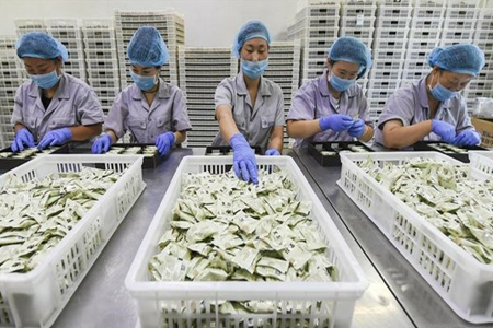 辽宁省109项创新产品助力企业增收